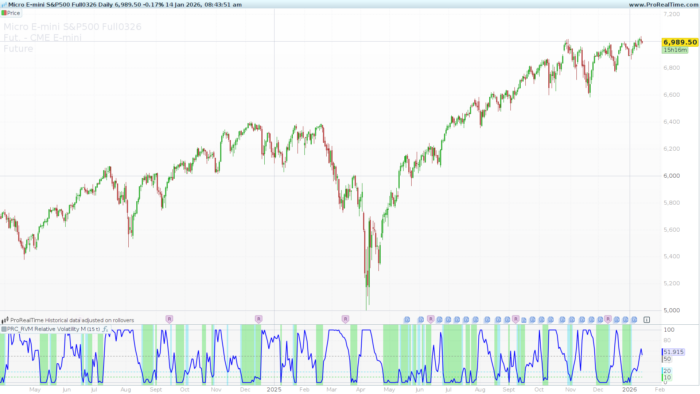 The RVM (Relative Volatility Measure)